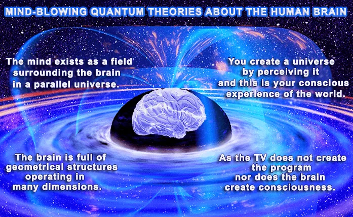 Multidimensional brain hypothesis, Unbounded Brain